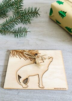 Ornamenten huisdieren