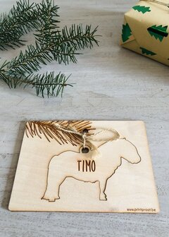 Ornamenten huisdieren